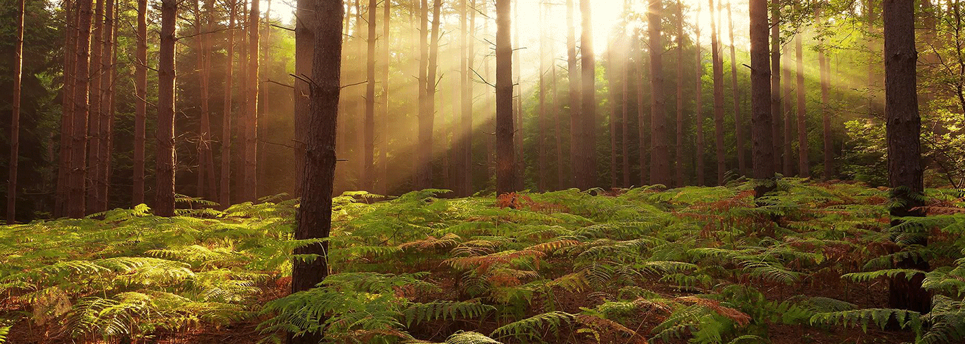 海报合成|网页|运营设计|疯狂的阿may - 原创作品 - 站酷 (zcool)