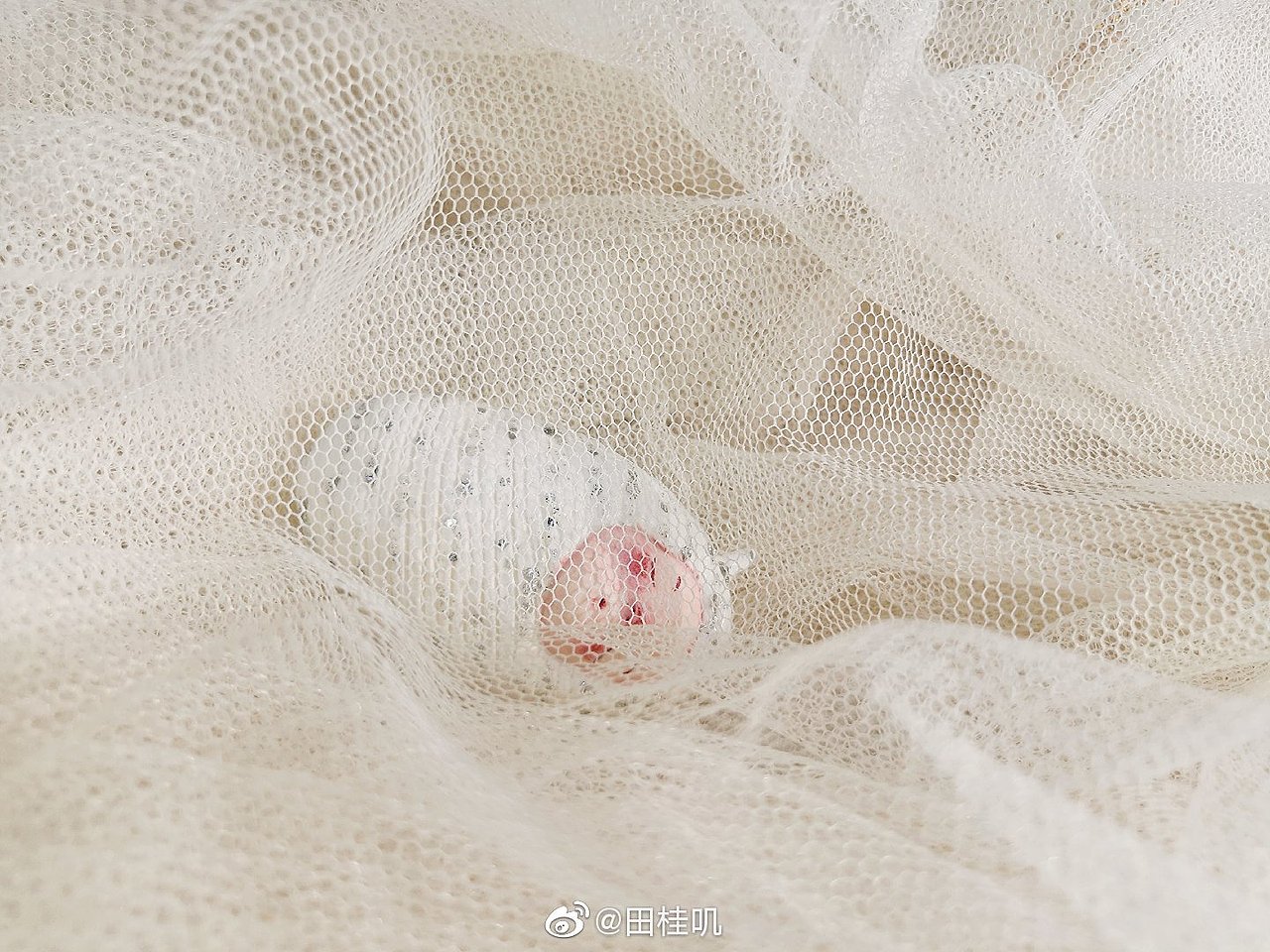 仙气手作艺术品（图ZMTg0MzU0MjEy） - 手办/模玩 - 站酷设计师田桂叽原创素材 - 站酷ZCOOL