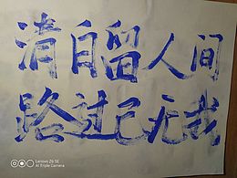 清白留人间，路过已无我。