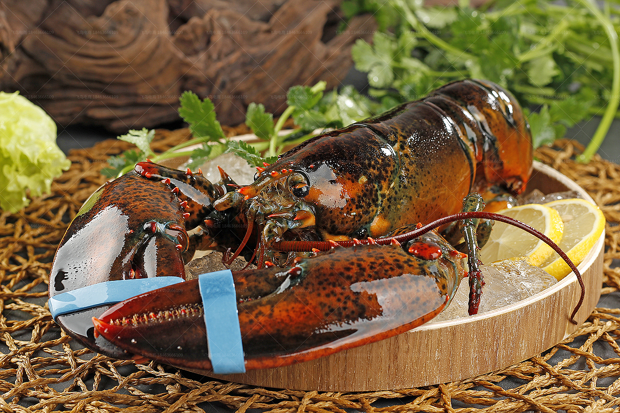 波士顿龙虾丨生鲜海产品客户约拍丨飞鸟电商