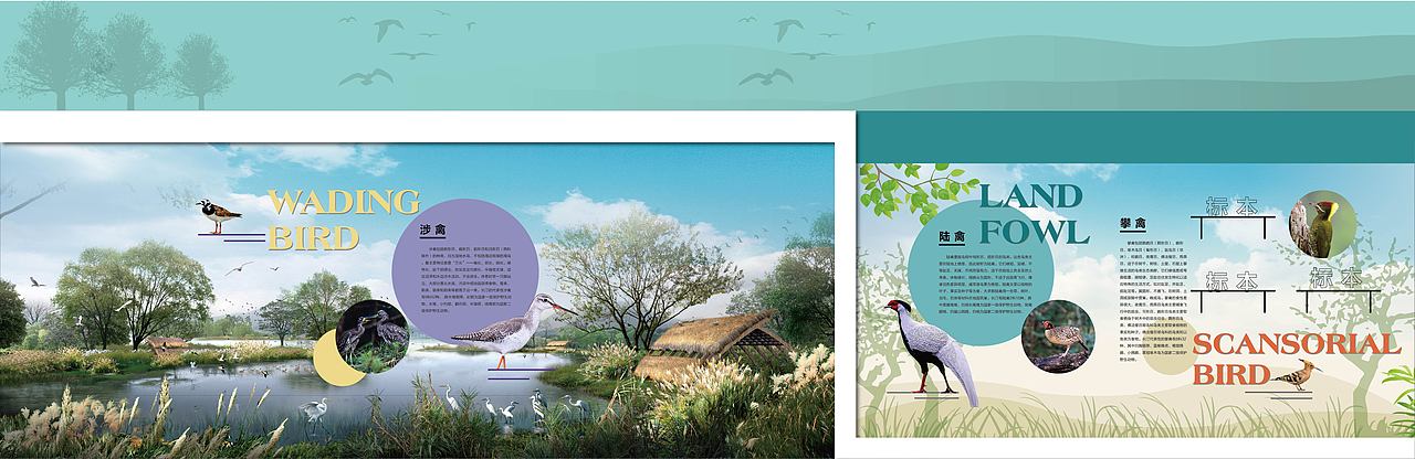 动植物展厅（图ZMjgzOTg0MDU2） - 其他平面 - 站酷设计师酷酷的大沈原创素材 - 站酷ZCOOL