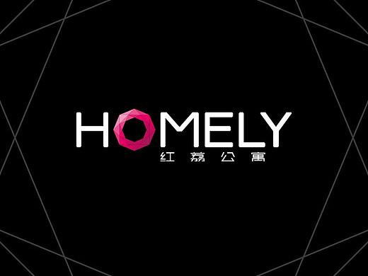 敏捷地产红荔公寓VI提案