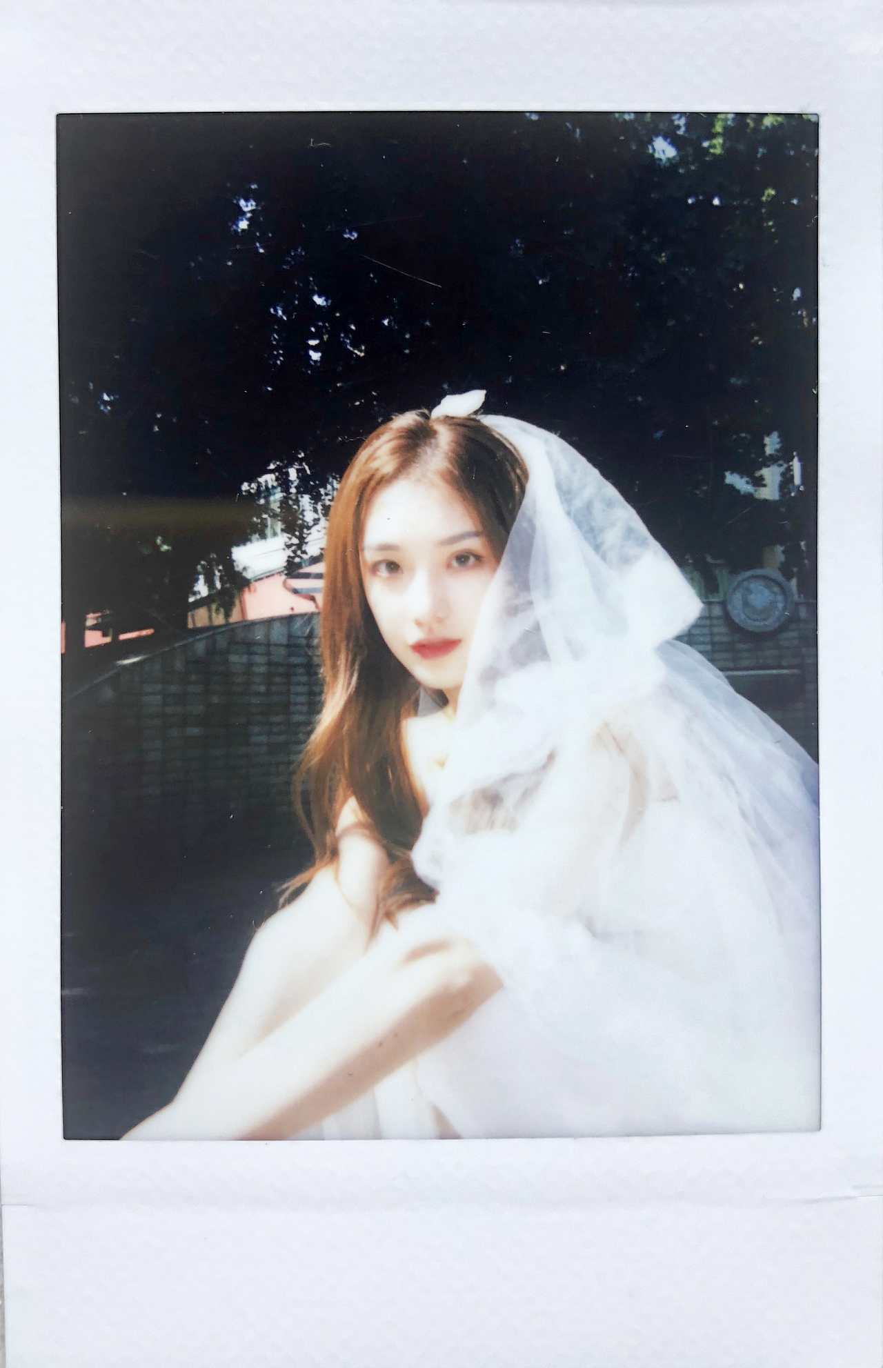 理想是和你浪费每一个美好日子