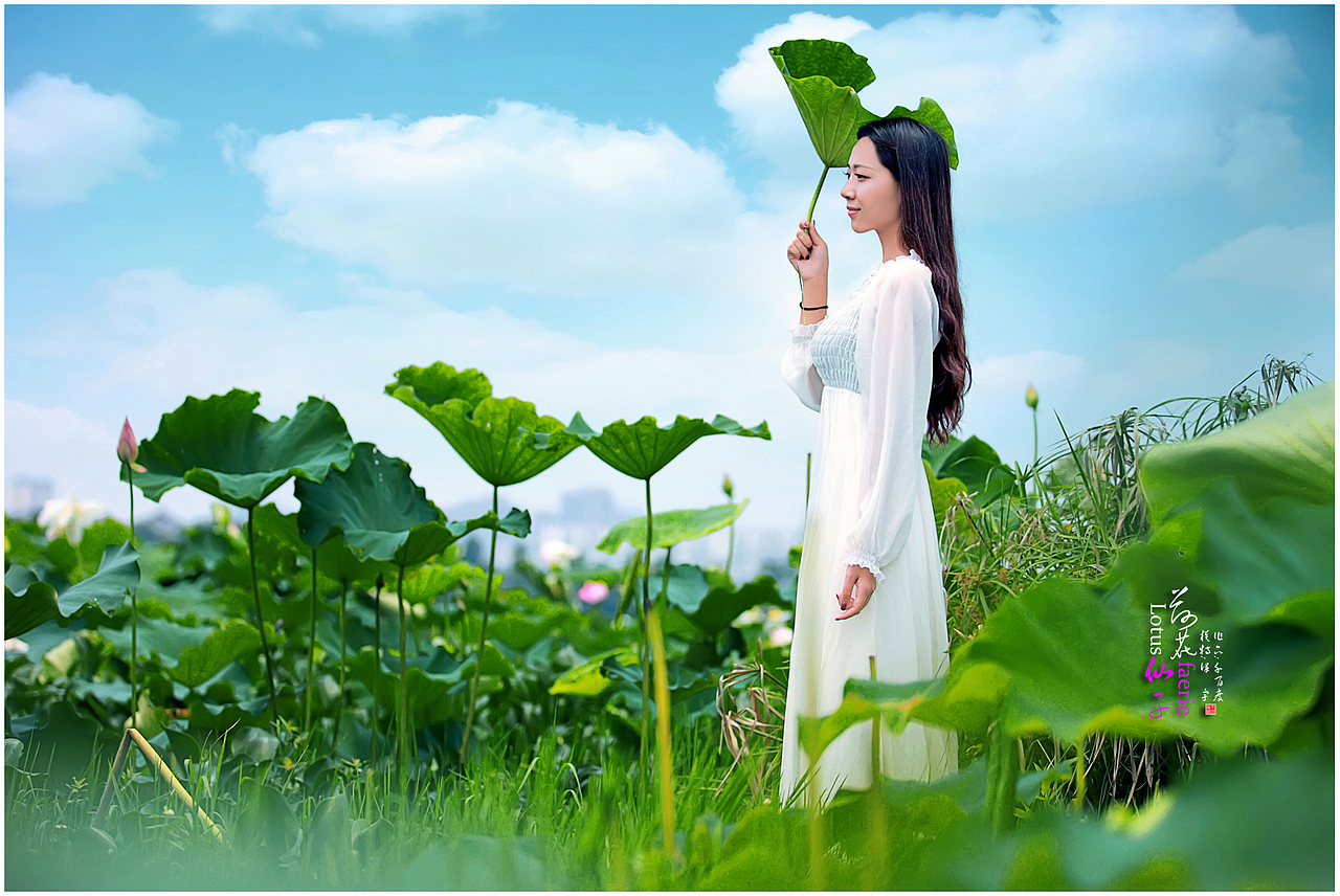 [荷花仙子]（圖ZMjk5OTE5NDA=） - 人像攝影 - 站酷設(shè)計師千百度vip原創(chuàng)素材 - 站酷ZCOOL