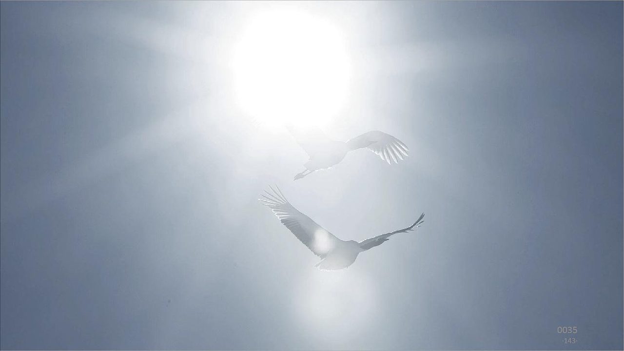 东鹏集团LOGO汇报方案-飞机稿