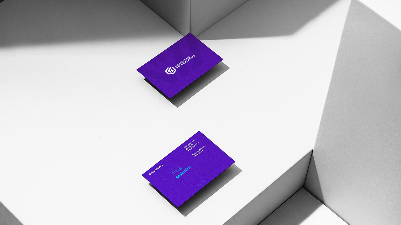 TSINGLUBE 品牌策划升级