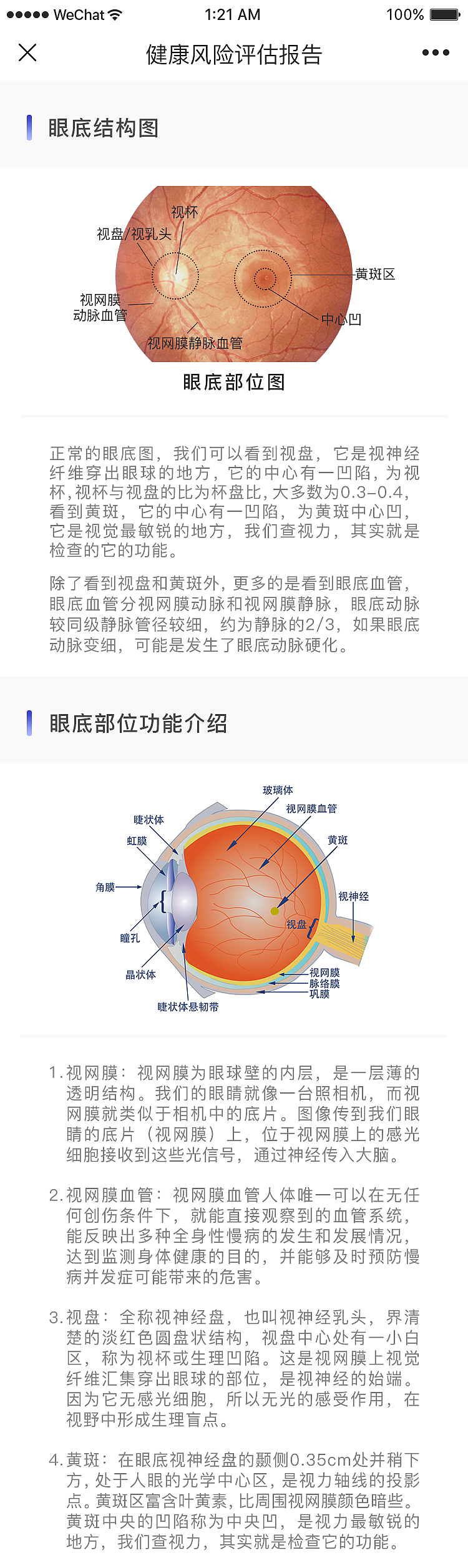 眼科ai报告H5部分页面
