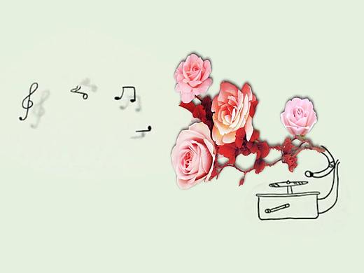 文明赏花 你能做到吗？