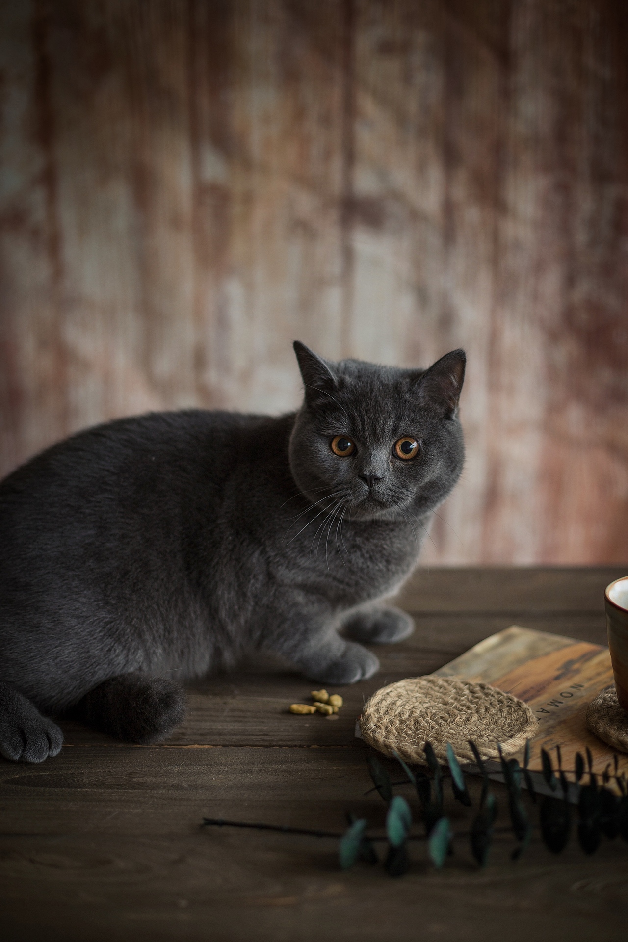 一些居家片刻（图ZMTk5MzUyNjQ4） - 产品摄影 - 站酷设计师艾满满原创素材 - 站酷ZCOOL