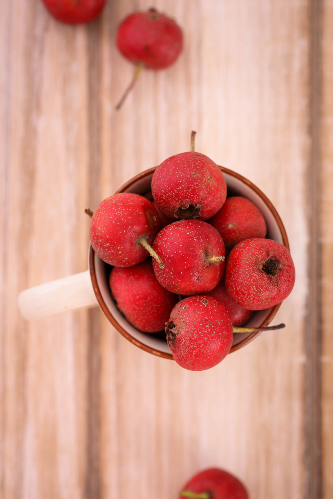 「万物皆可拍」