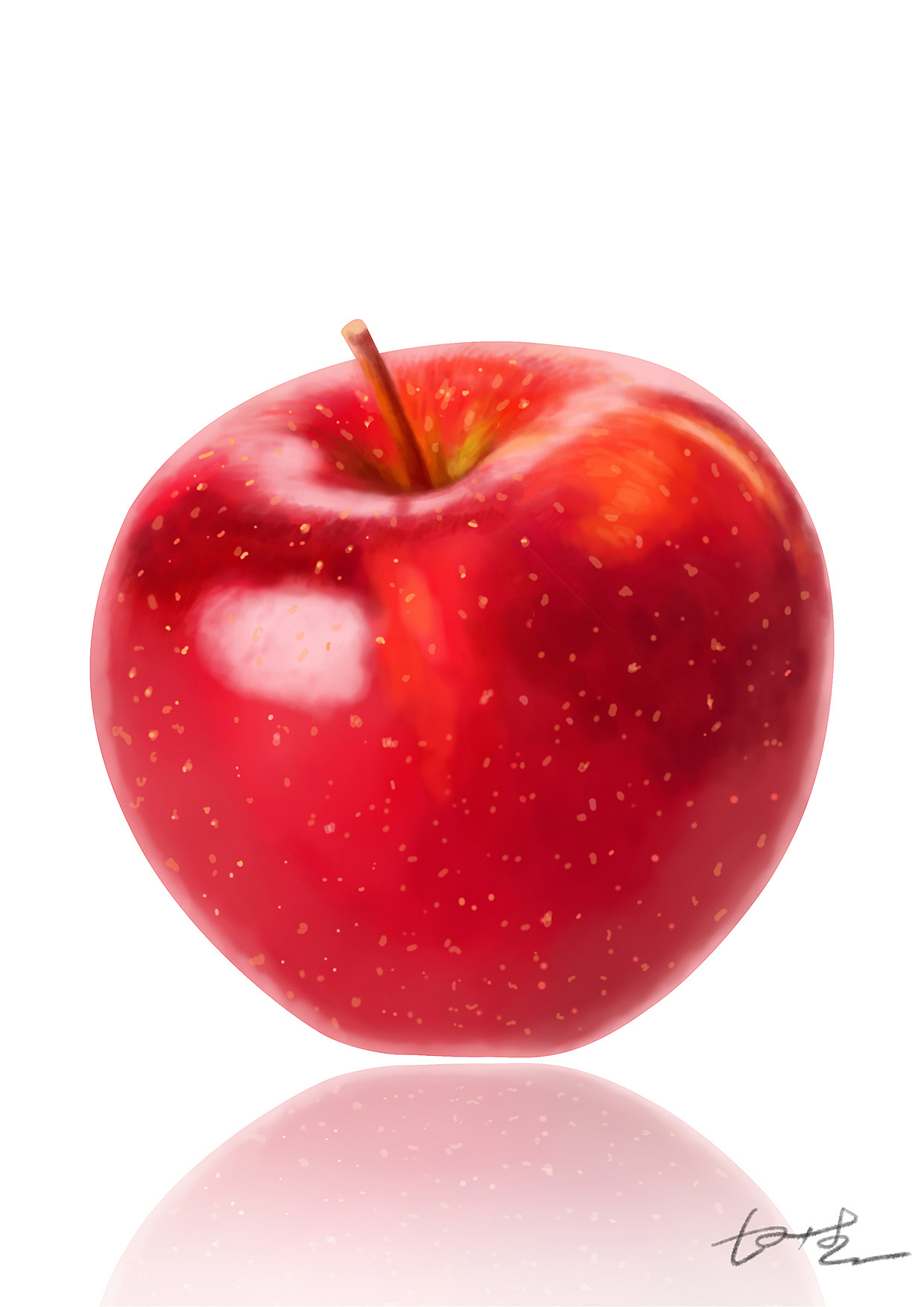 写实苹果|插画|创作习作|画仙岛主 - 原创作品 - 站酷 (zcool)
