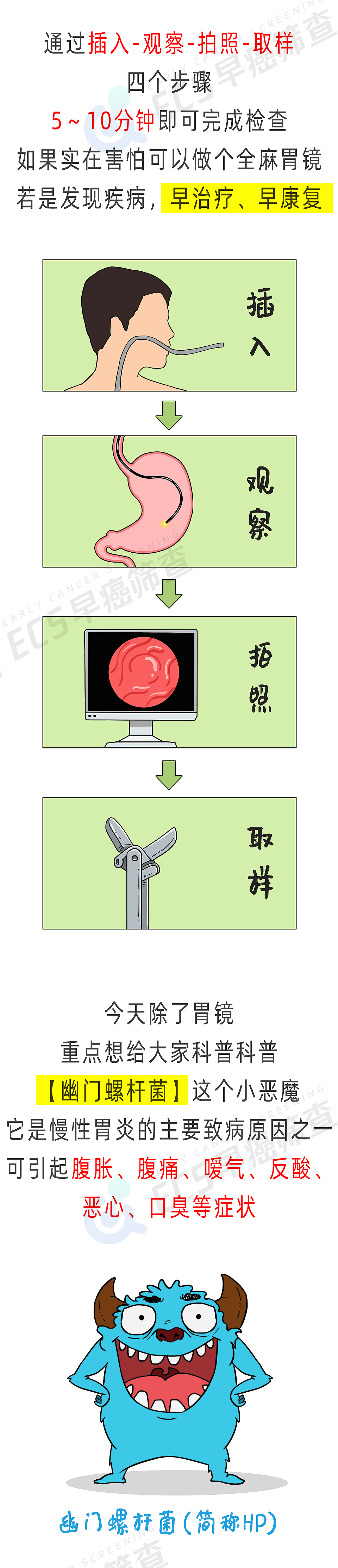 幽门螺杆菌（图ZMjkyOTI0Mzg0） - 商业插画 - 站酷设计师米斯特橙橙橙原创素材 - 站酷ZCOOL