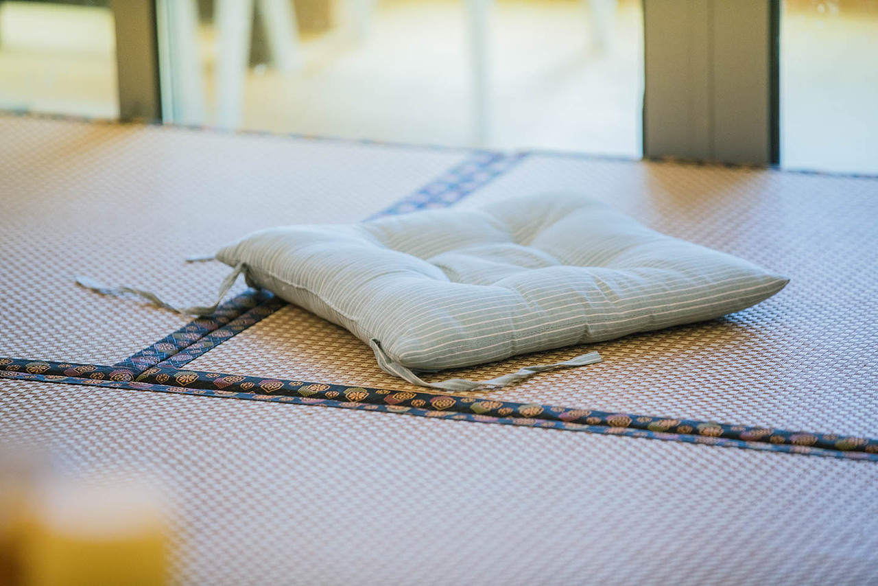 猫咖（图ZNjkyODQ4NDg=） - 宠物摄影 - 站酷设计师xubin1123原创素材 - 站酷ZCOOL