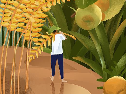 二十四节气-芒种插画