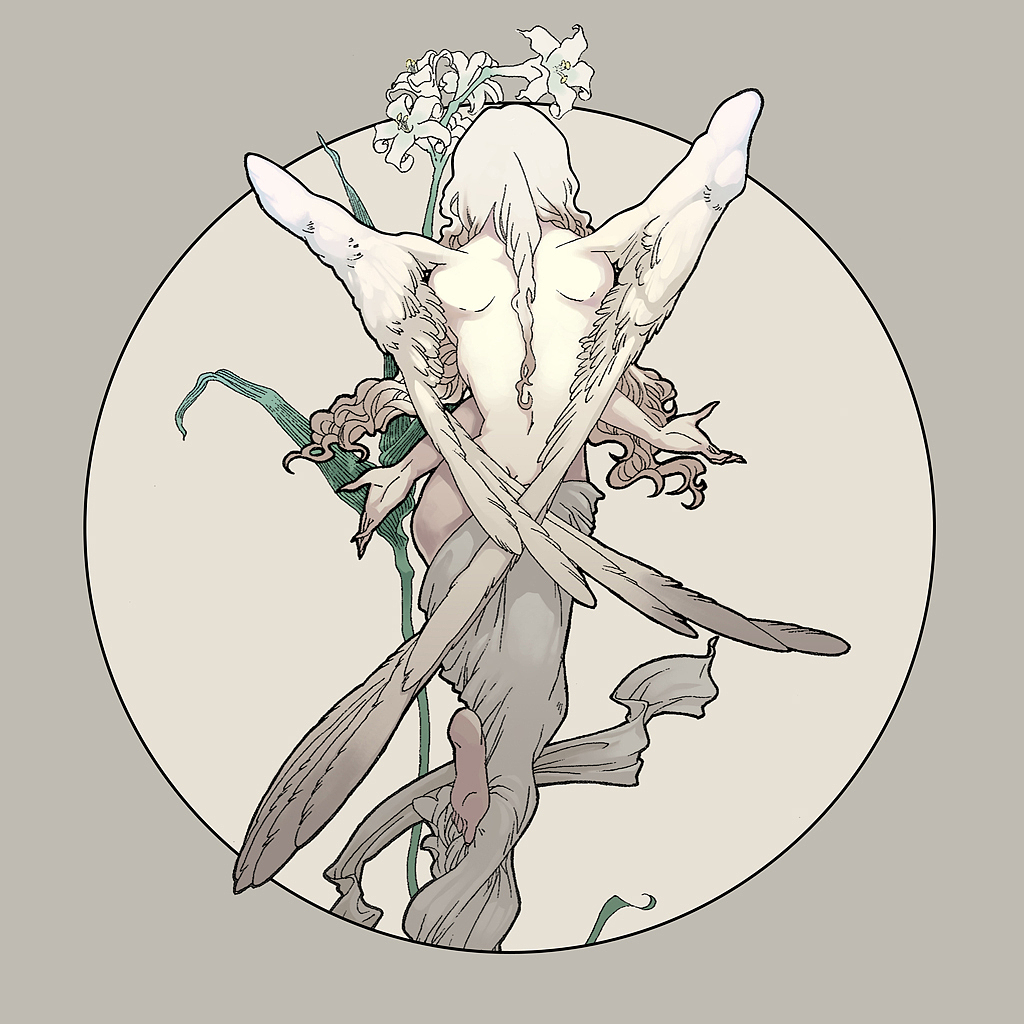 百合（图ZNTE2OTgzNg==） - 商业插画 - 站酷设计师夏至未至er原创素材 - 站酷ZCOOL