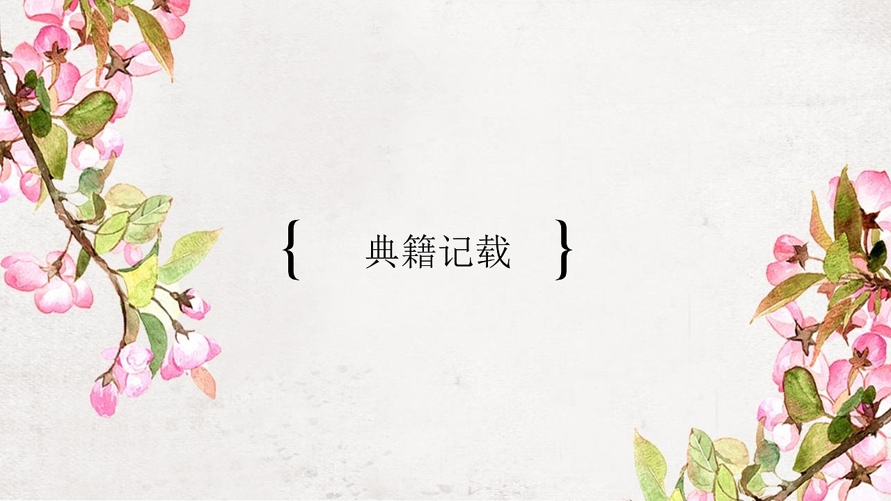 3.21传统节日春分节气课件PPT模板