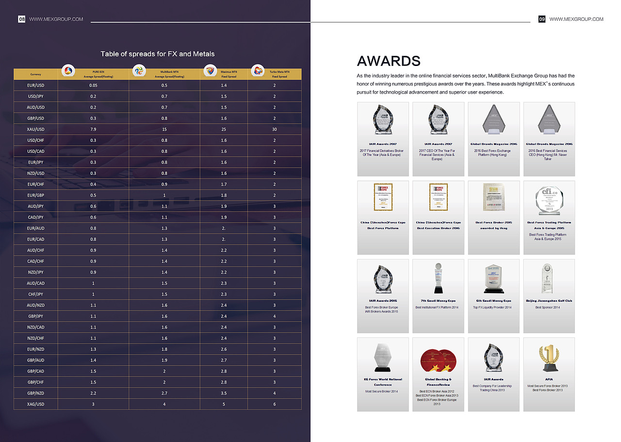 大通金融集团（外企）平面作品