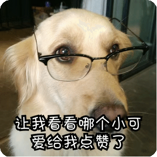 光素空间 | logo设计 | 形容品牌设计