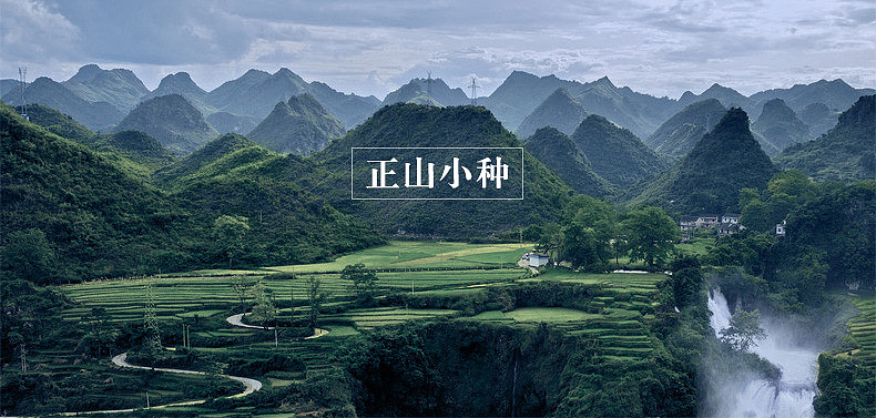 正韵级系列散茶设计（图ZODAxODMwODQ=） - 电商 - 站酷设计师kuyi酷儿原创素材 - 站酷ZCOOL