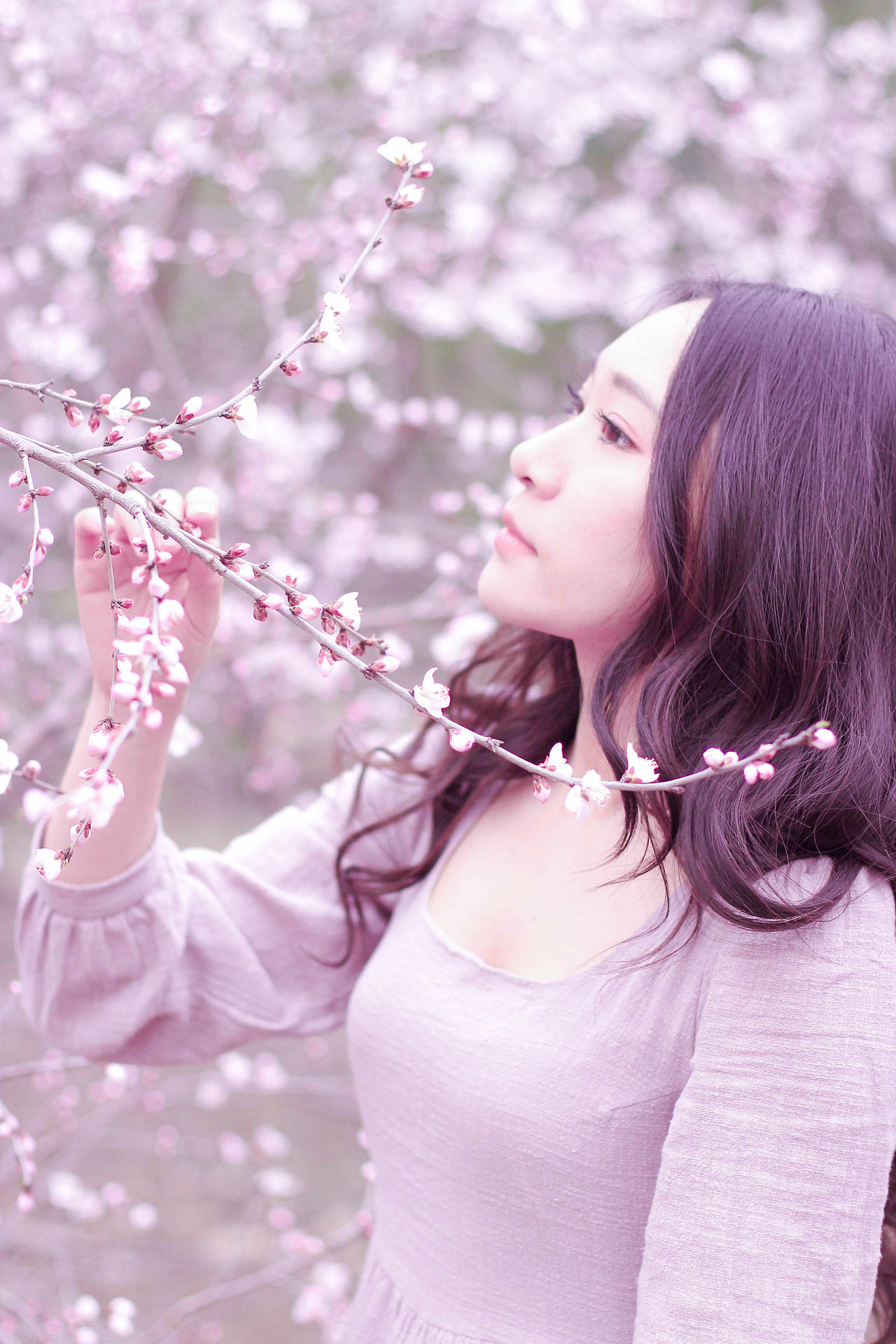 sakura 樱花（图ZNDUwMjg5MDA=） - 人像摄影 - 站酷设计师有一个落落原创素材 - 站酷ZCOOL