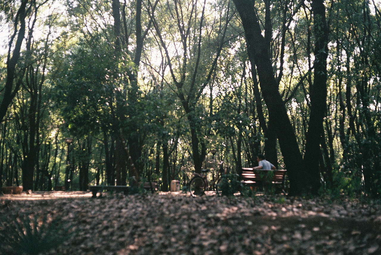 2018胶片扫街-夏