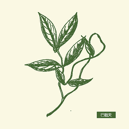 中草药图片怎么画 012fb25e53fee8a80120a895c6c941.jpg@1280w_1l_2o_100sh.jpg