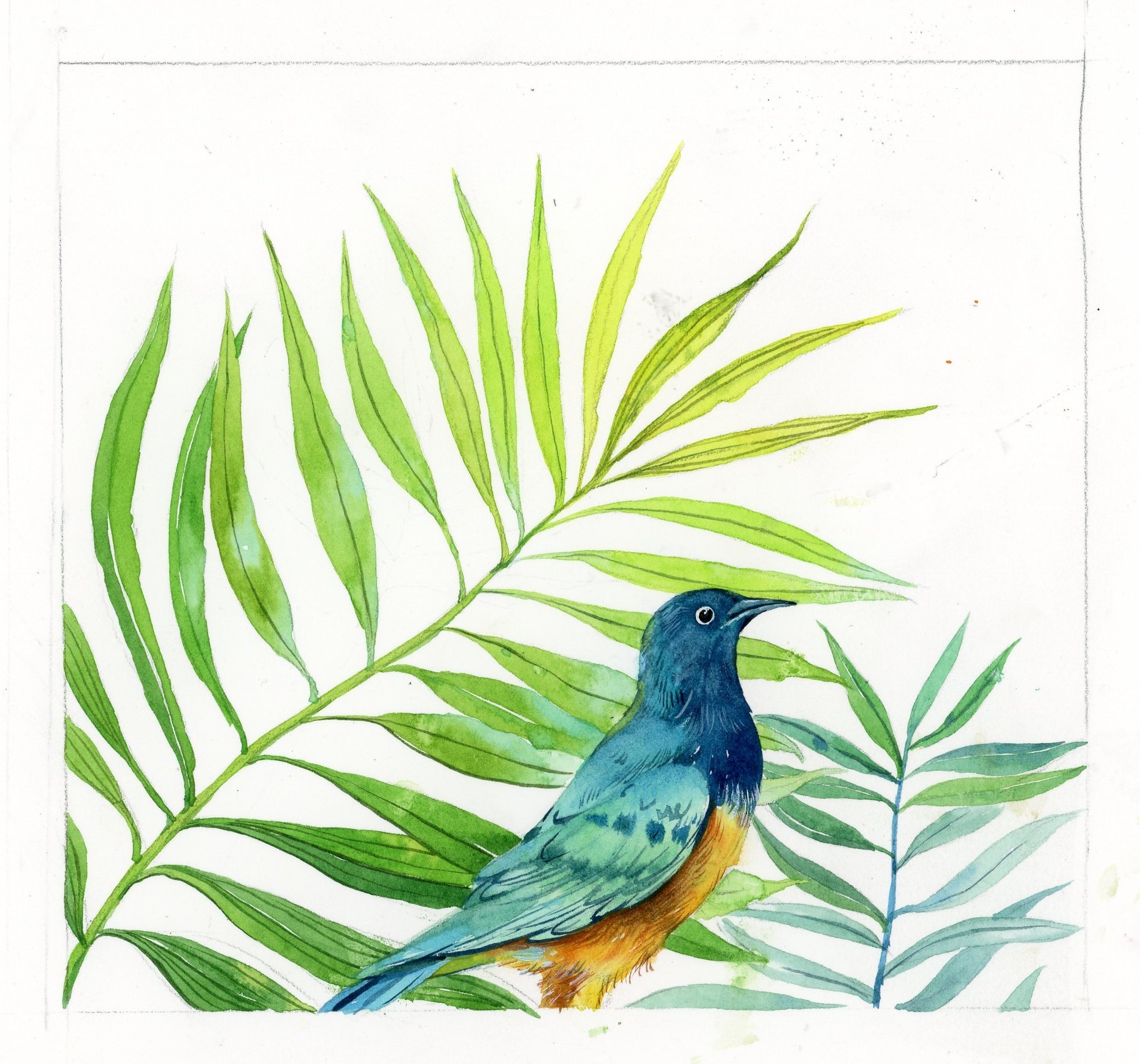 花儿与小鸟|插画|商业插画|蹦蹦蹦砰 - 原创作品 - 站酷 (zcool)