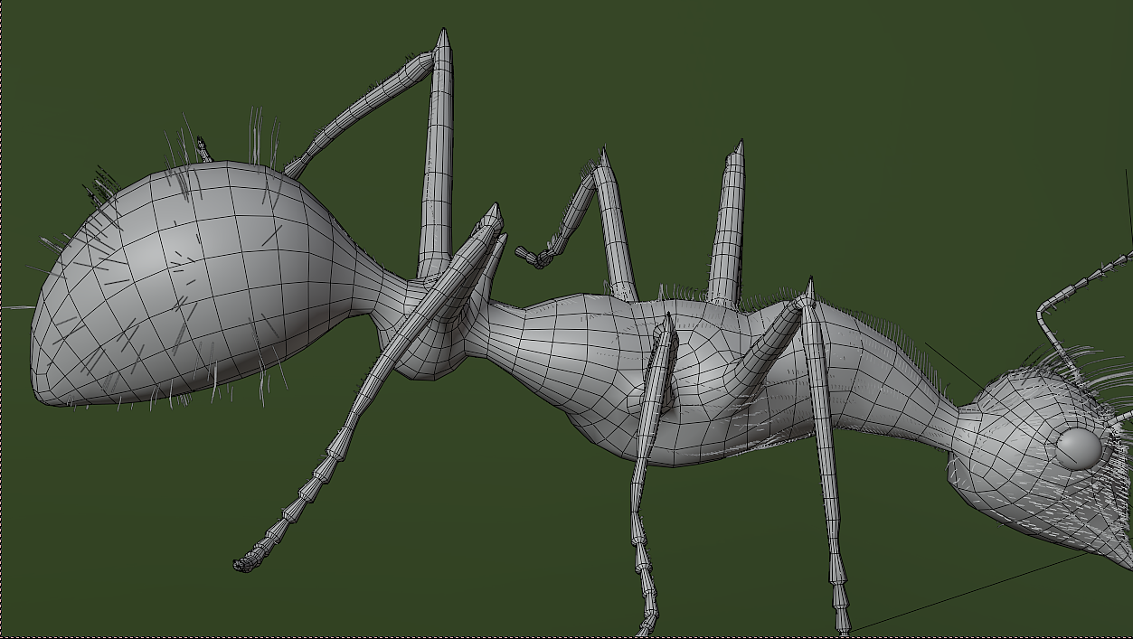 blender蚂蚁制作（图ZMjI4MDAzMTM2） - 人物/生物 - 站酷设计师cger8789原创素材 - 站酷ZCOOL