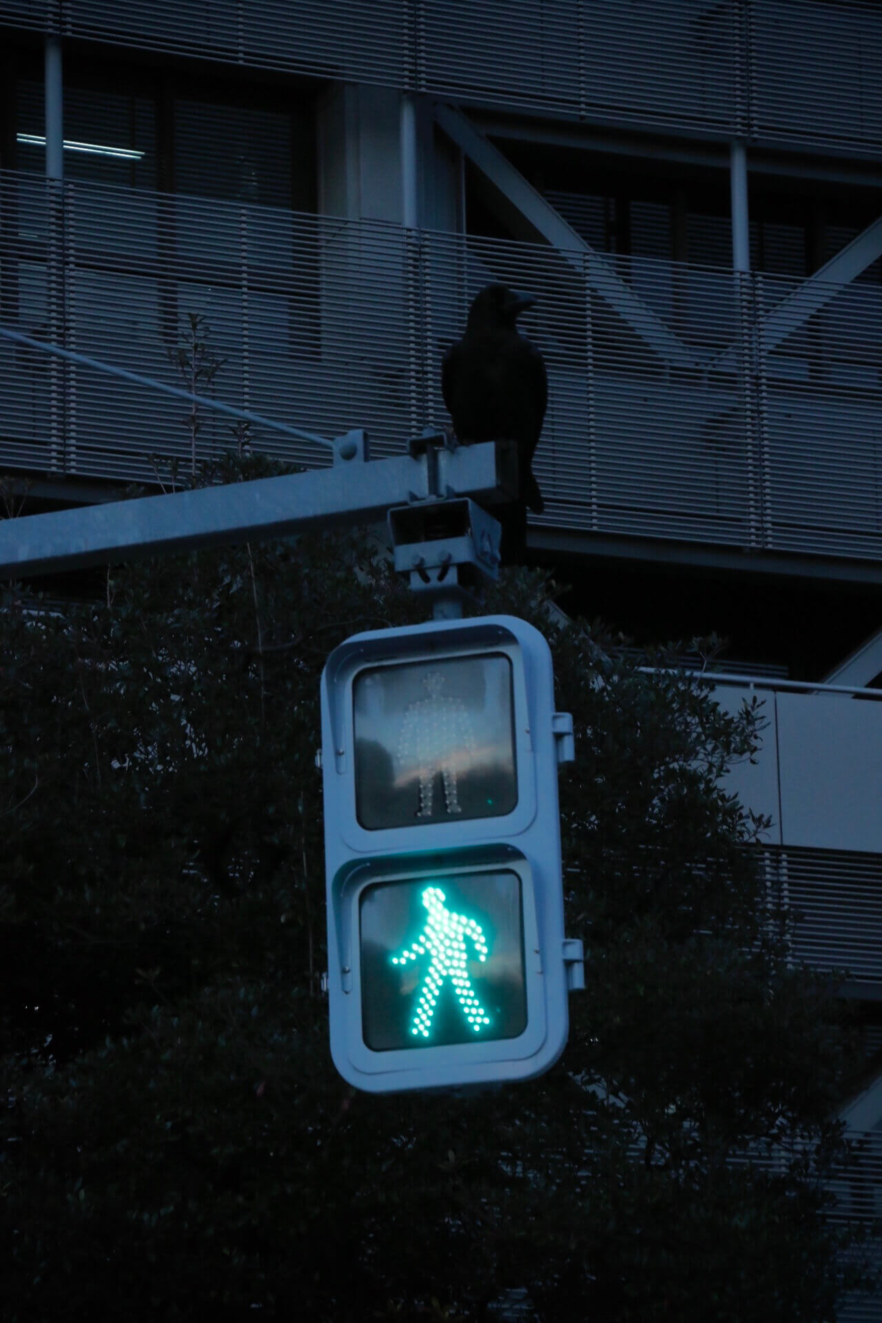 杀死啦啪啪的个人主页（背景预览） - 主页背景设置 - 站酷设计师杀死啦啪啪原创素材 - 站酷ZCOOL