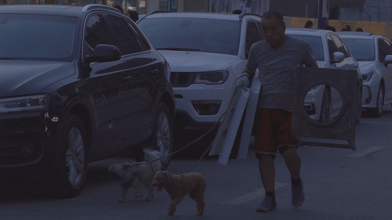 好喜欢人间定格.