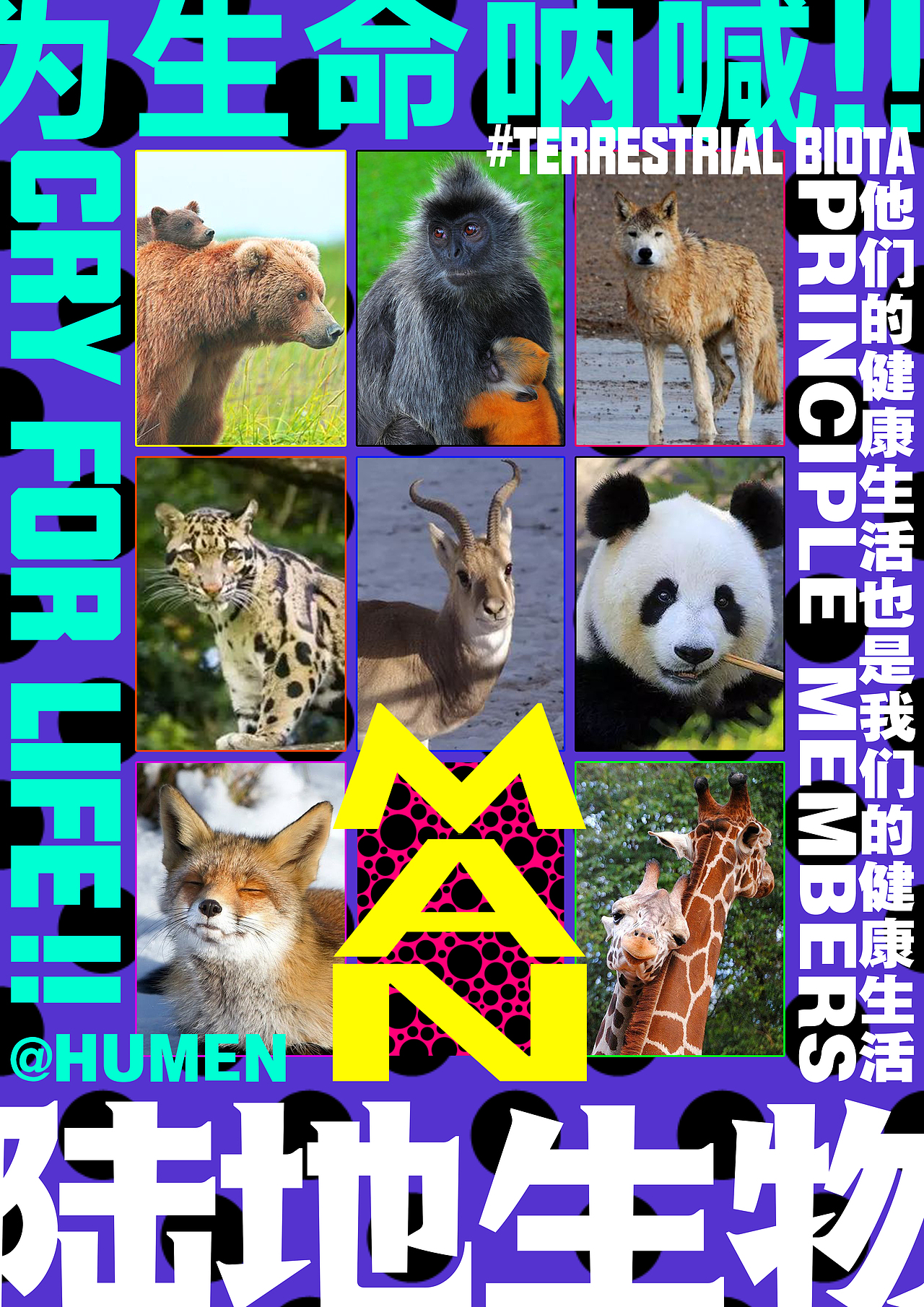 人类也是陆地生物的一份子.能力越大责任越大,保护这些可爱的动物吧!