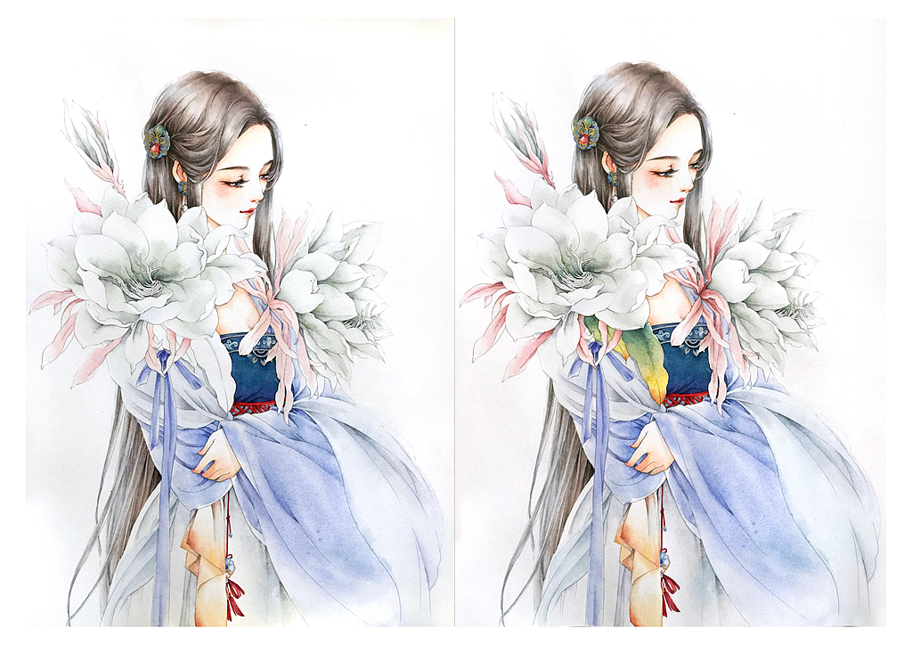 昙花一现只为韦陀