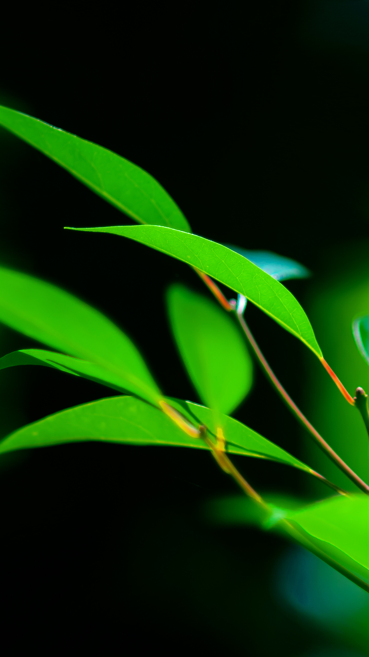 平常心（圖ZMzczODkxMzI=） - 其他攝影 - 站酷設(shè)計(jì)師HK754202733原創(chuàng)素材 - 站酷ZCOOL