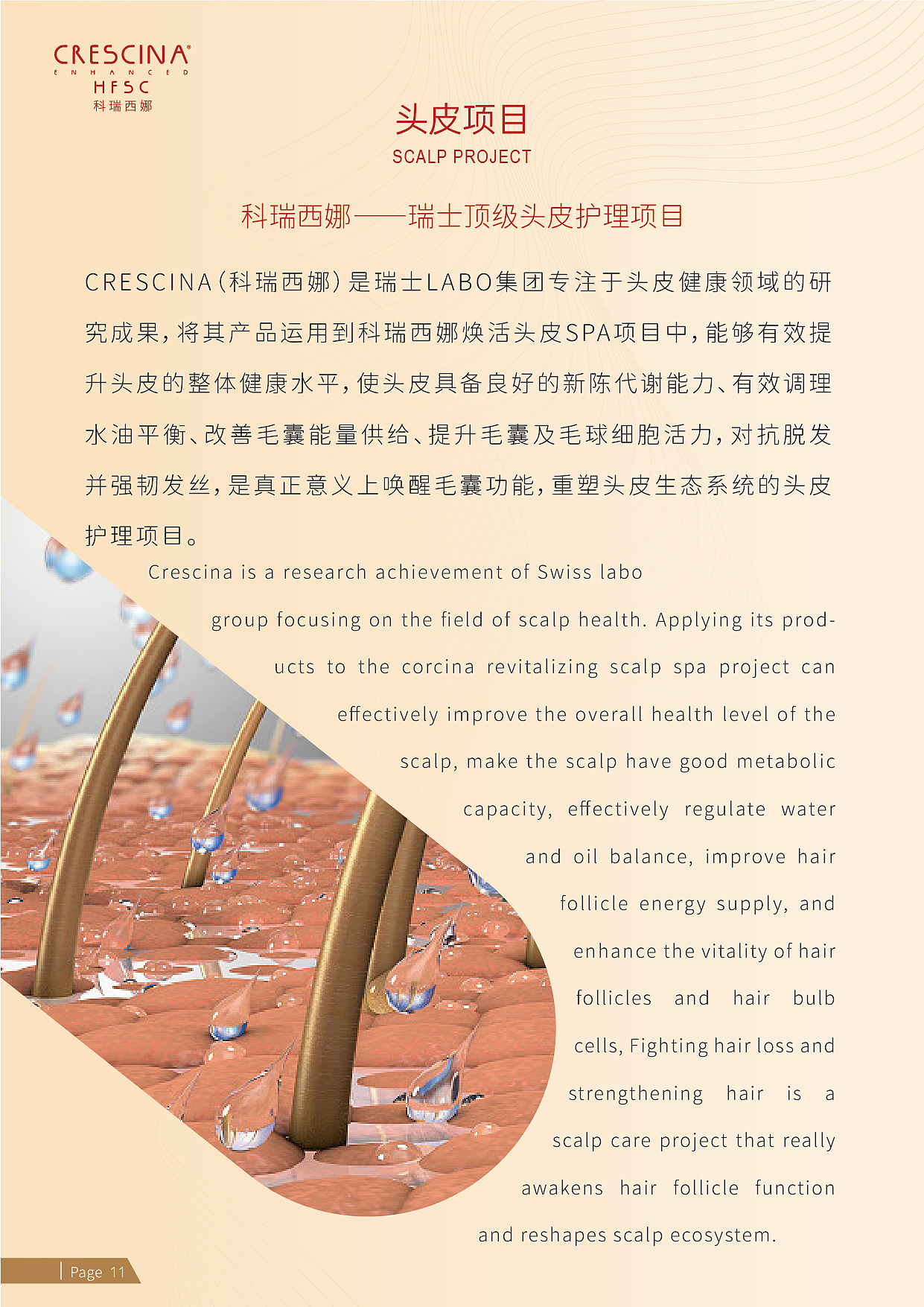 品牌画册（图ZMjkxMTE5MjAw） - 书籍/画册 - 站酷设计师Z51523962原创素材 - 站酷ZCOOL