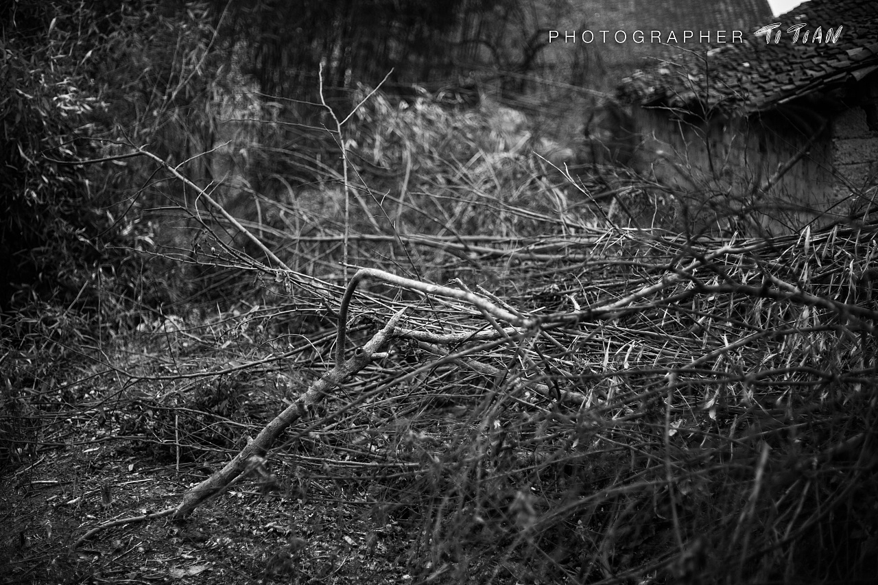 略有情绪的黑白摄影