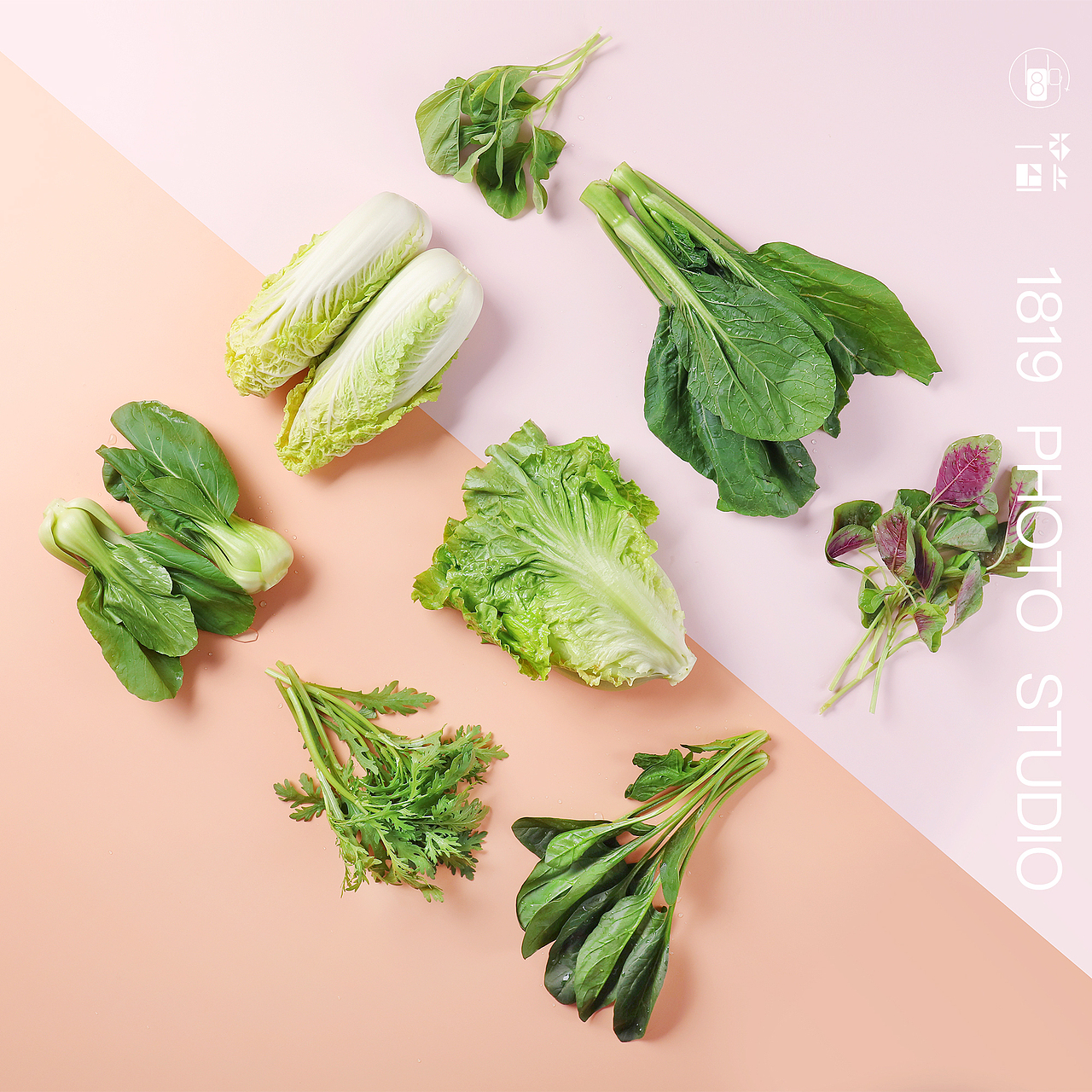 新鲜食材拍摄 拼色美食摄影拍摄