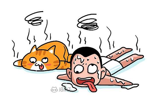猫咪中暑怎么办