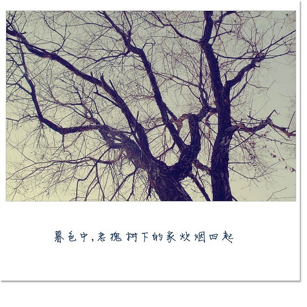 爱好~摄影小卡片（图ZODcwNzgwMA==） - 其他摄影 - 站酷设计师硬笔淡彩原创素材 - 站酷ZCOOL