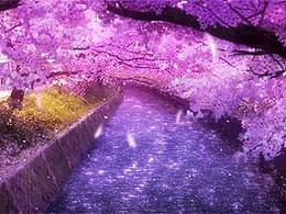 水果拼团