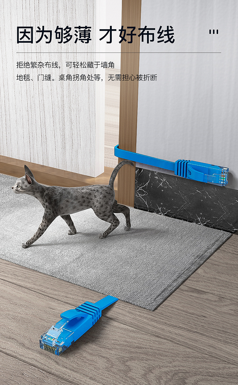 网线详情制作（图ZMjI5NTM0ODQ4） - 产品 - 站酷设计师圆白菜欸哈呀原创素材 - 站酷ZCOOL