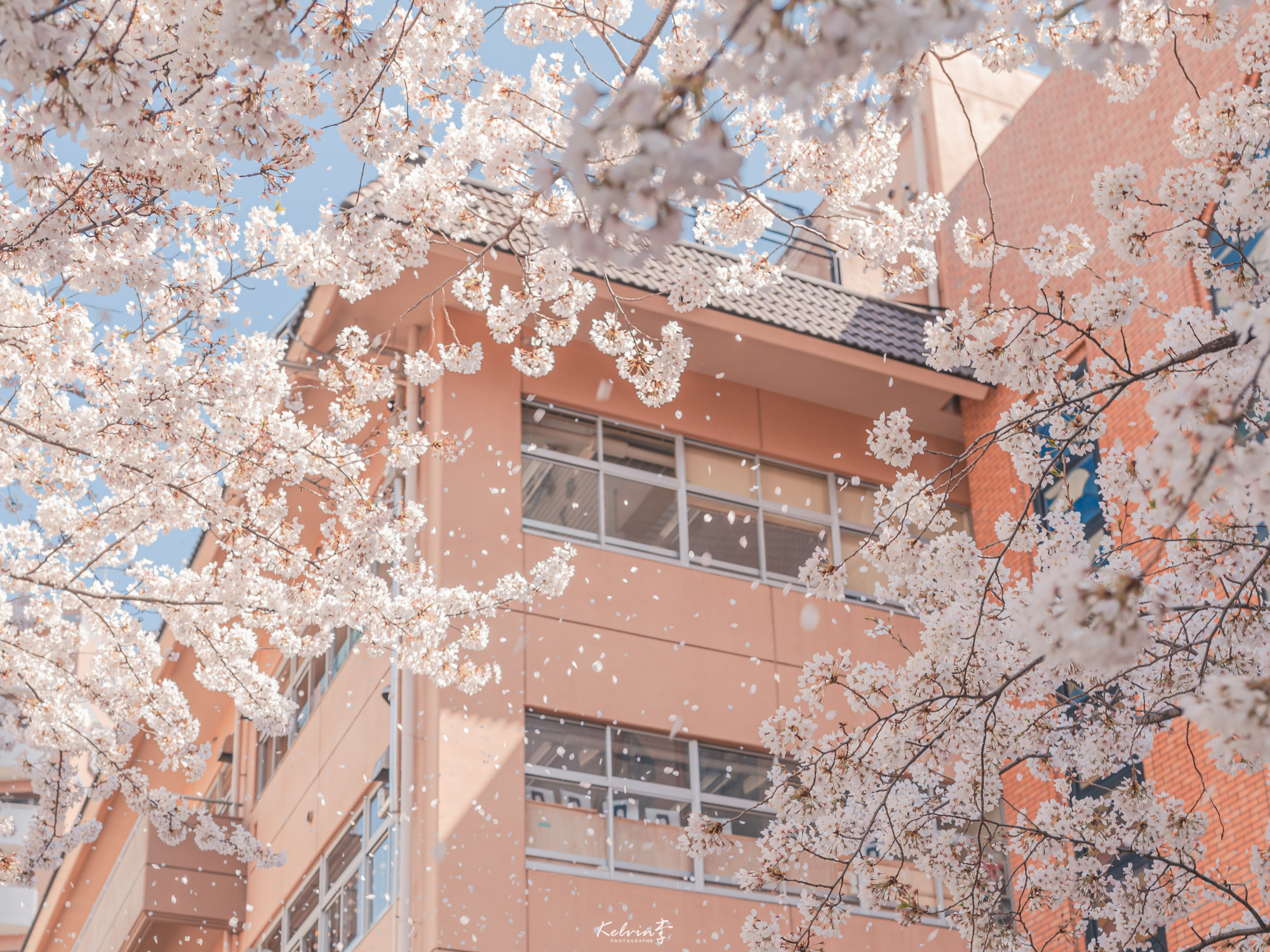 香什么菜的个人主页（封面预览） - 主页封面设置 - 站酷设计师香什么菜原创素材 - 站酷ZCOOL