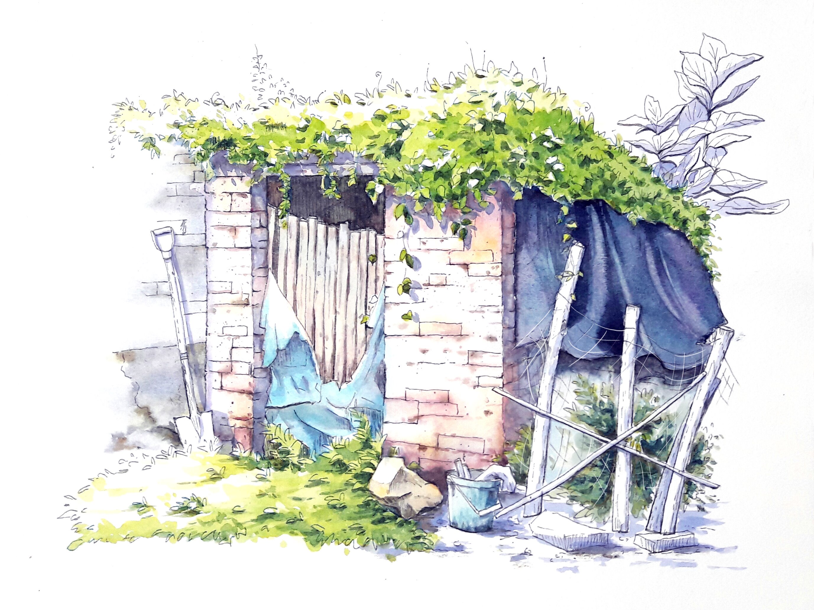 建好开云体育- 开云体育官方网站- 开云体育APP 最新2025“专家小院”带动“农家大院”