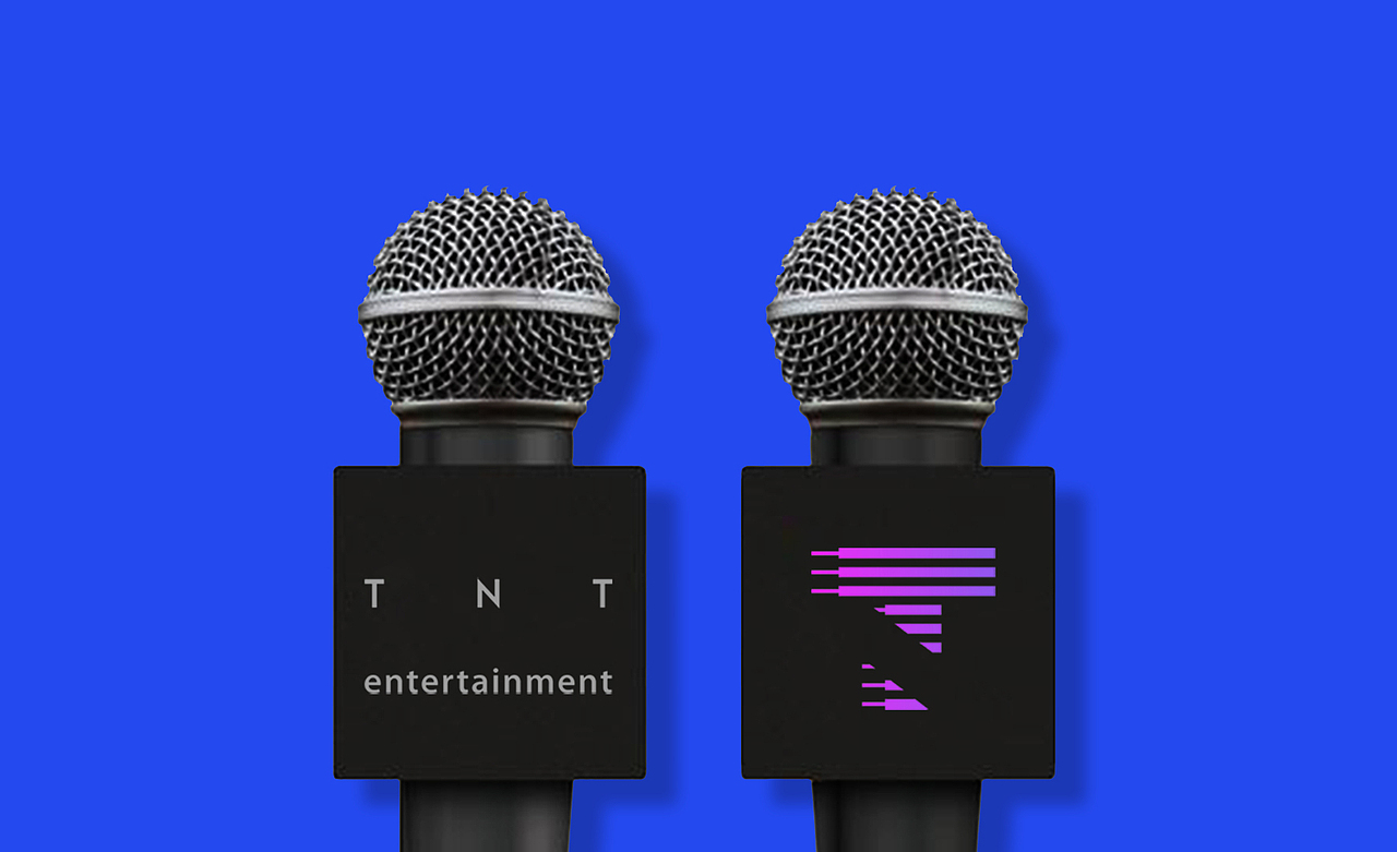 猛将品牌设计作品|TNT替恩替文化VI设计