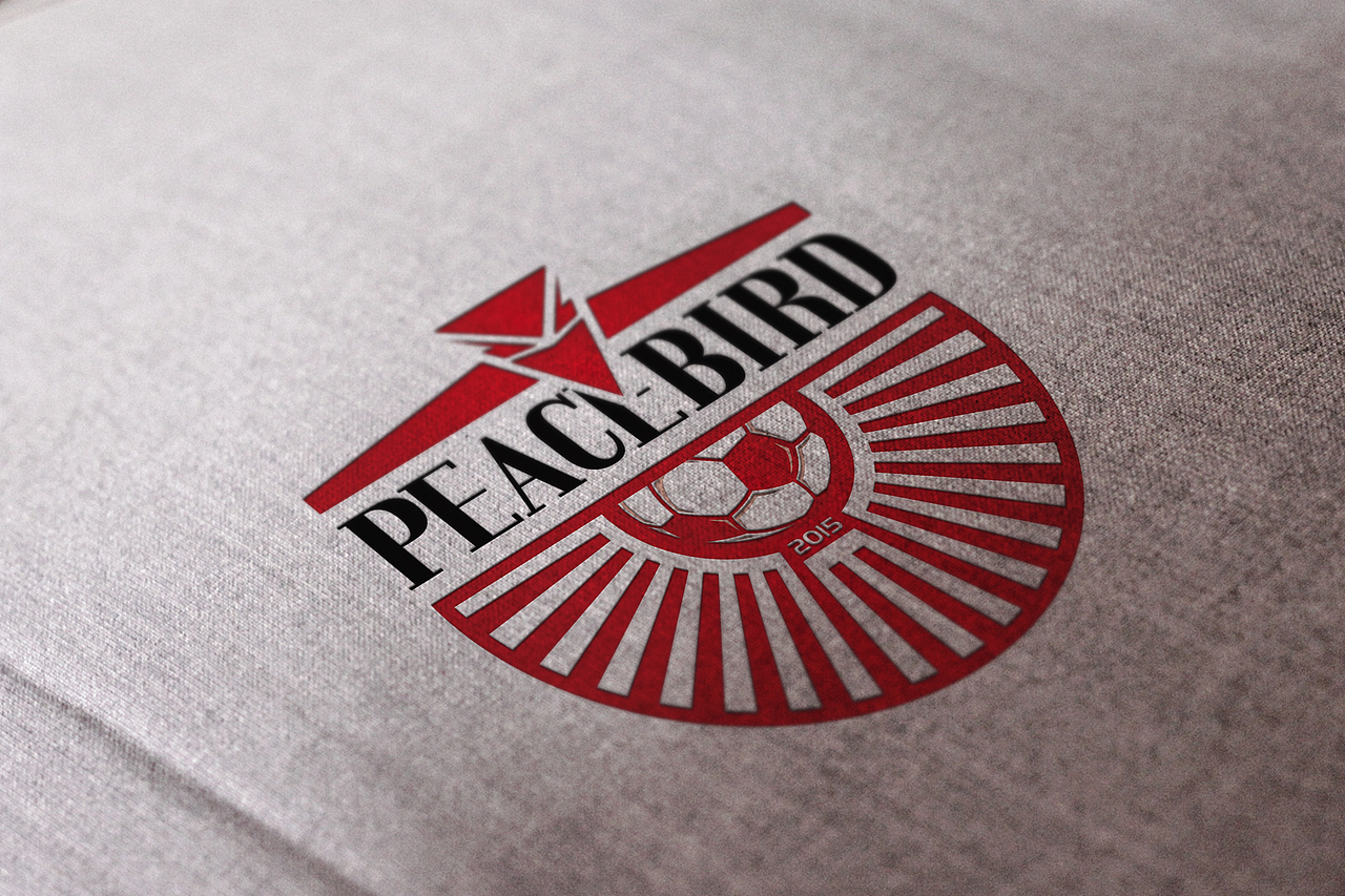 【J4】泰安太平鸟乐町T15足球俱乐部（图ZMTk1ODQ0NDk2） - 品牌 - 站酷设计师凤凰堂旧书店原创素材 - 站酷ZCOOL