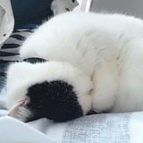 刘三岁_的头像