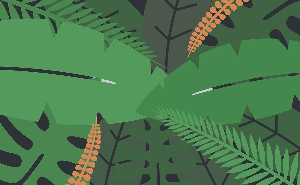原创手绘h5动画—amazon热带雨林的故事