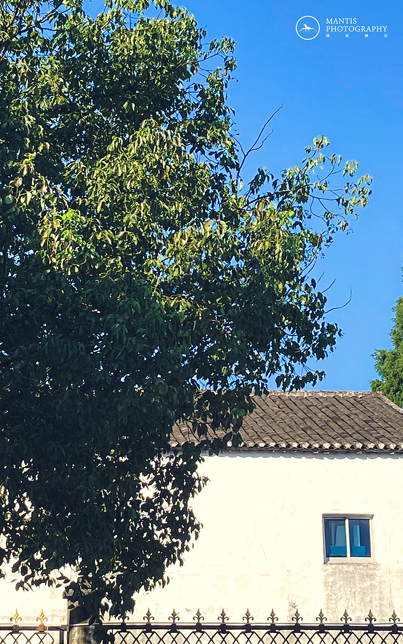 MANTIS 随拍2021（图ZMjgxNjA5NzYw） - 风光摄影 - 站酷设计师aaa62621185原创素材 - 站酷ZCOOL