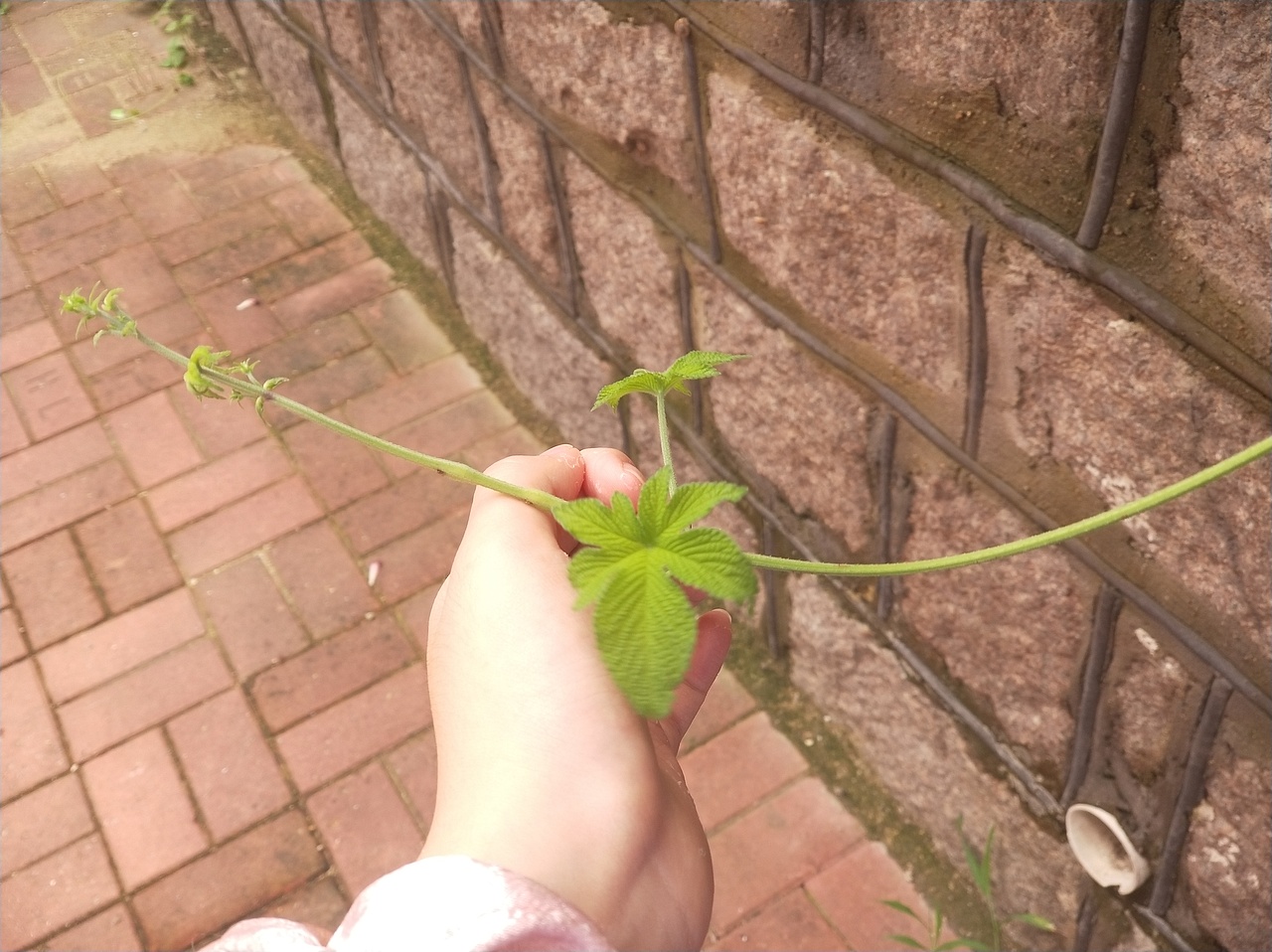 生活中的点点滴滴