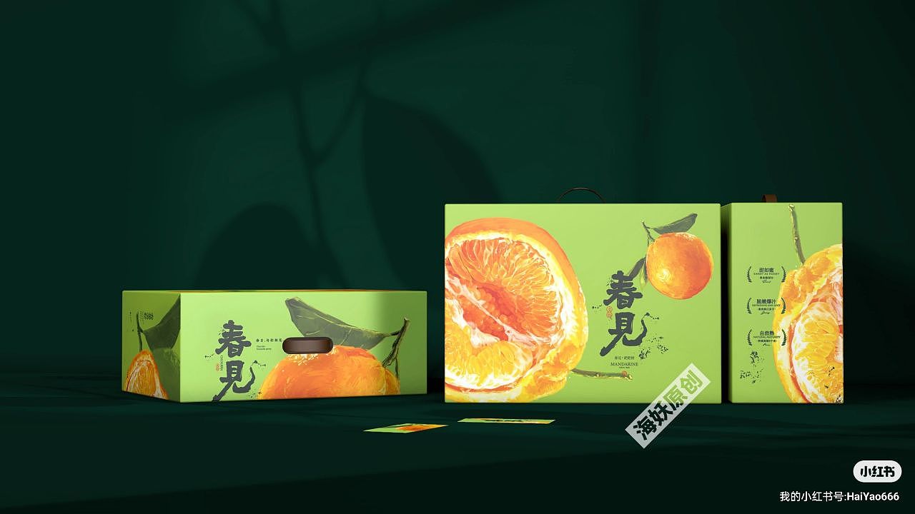 {原创}耙耙柑水果包装设计手绘插画礼盒
