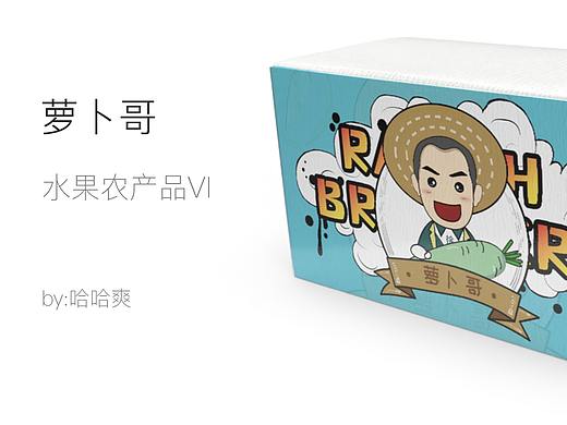 萝卜哥-水果农产品logo及包装（VI）